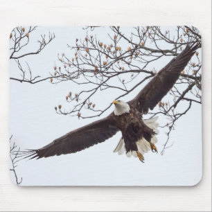 Mousepad Bald Eagle Wingspread