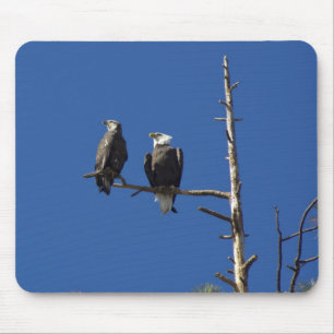 Mousepad Bald Eagles