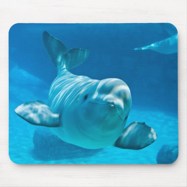 Mousepad Baleia da beluga (Frente)