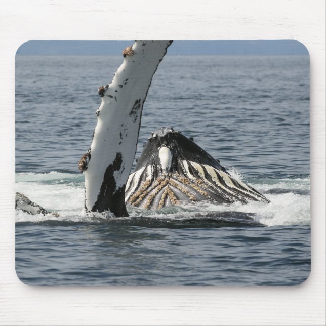 Mousepad Baleia de Humpback (Frente)