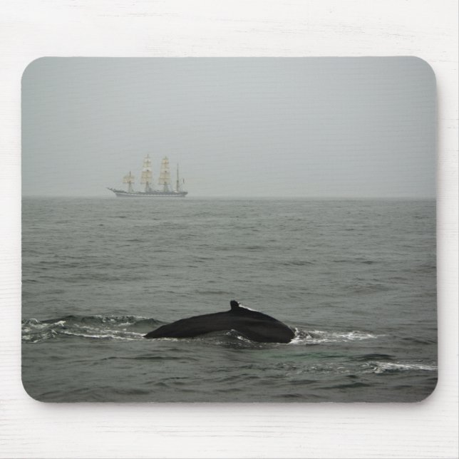 Mousepad Baleia-jubarte e Mousepad-Alto (Frente)