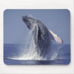 Mousepad Baleia-jubarte saltando (Megaptera