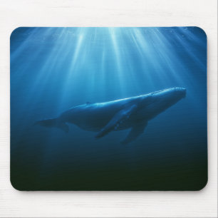 Mousepad Baleia Jubarte Subaquática