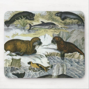Mousepad Baleias-Vintage, focas e valsas, animais marinhos