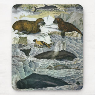 Mousepad Baleias-Vintage, focas e valsas, animais marinhos