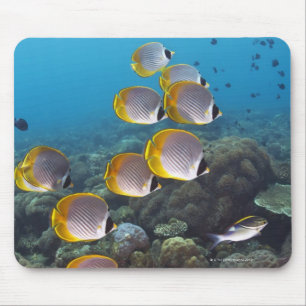 Mousepad Bali, Indonésia