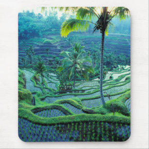 Mousepad Bali   Visão Geral das Terracas de Arroz