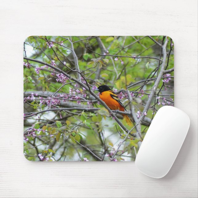 Mousepad Baltimore Oriole (Com mouse)