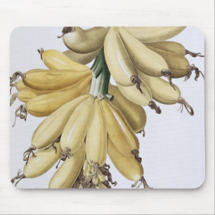 Mousepad Banana, 1816