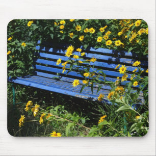 Mousepad banco azul
