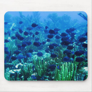 Mousepad Banco de areia de peixes azuis do disco