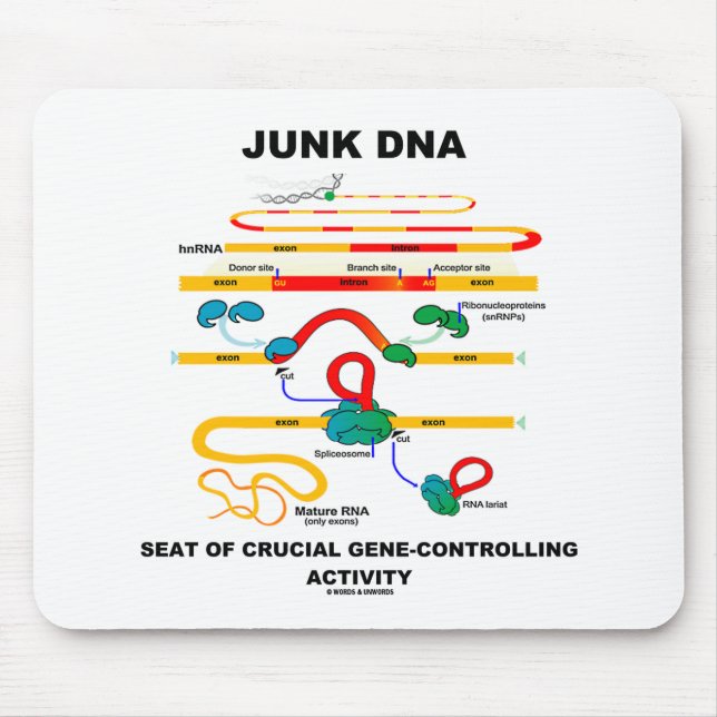 Mousepad Banco De DNA Lixo Da Atividade Crucial De Controlo (Frente)