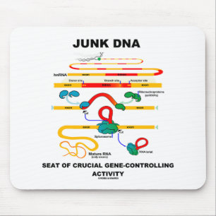 Mousepad Banco Junk DNA De Atividade Crucial De Controle De