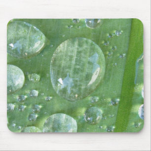 Mousepad Banda d'água fabulosa