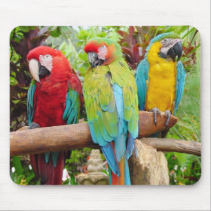 Mousepad Bando de arbustos coloridos