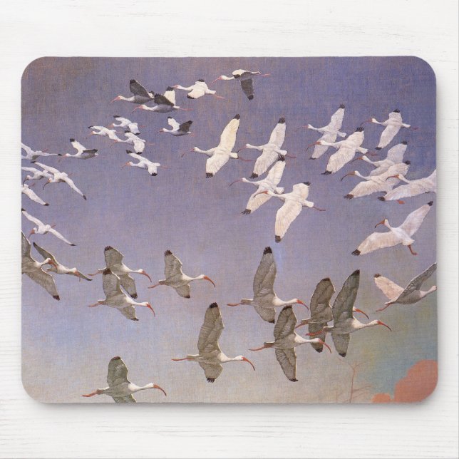 Mousepad Bando de Ibis sobrevoando Zonas Úmidas, Aves Vinta (Frente)
