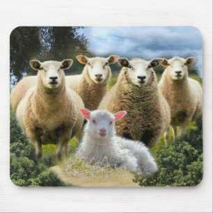 Mousepad Bando de Ovinos