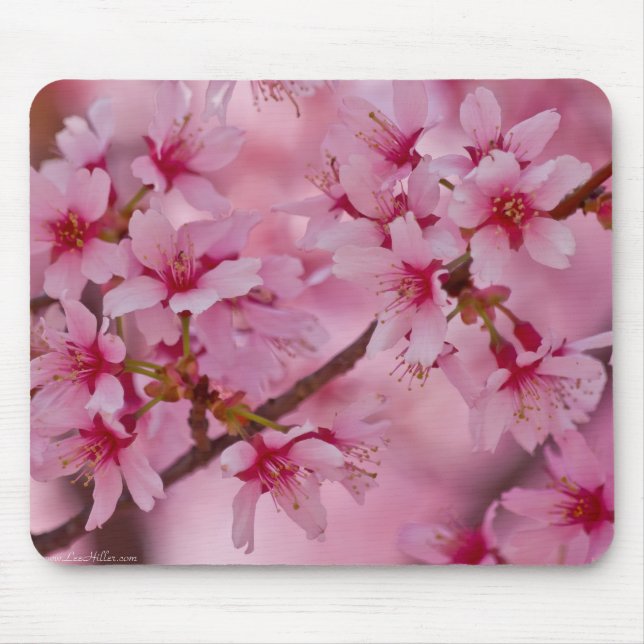 Mousepad Banho de cereja rosa japonês (Frente)