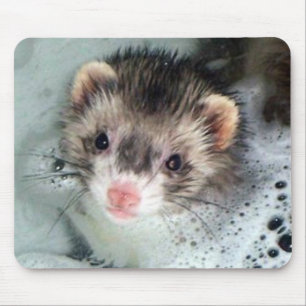 Mousepad banho de espuma da doninha