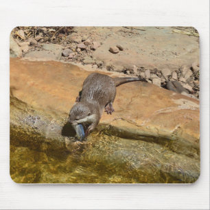 Mousepad **"Banquete Pondside: Uma Porta e Sua Captura"**