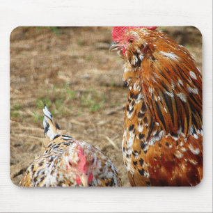 Mousepad Bantam Hen e Rooster