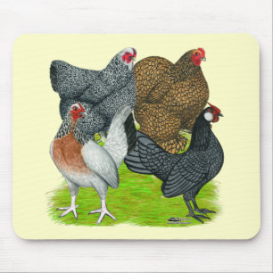 Mousepad Bantam Hen Quartet
