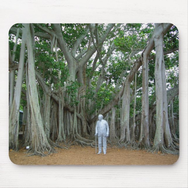 Mousepad Banyan Tree Edison & Ford Estate Ft Myers Florida (Frente)