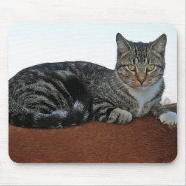 Mousepad Barn Cat em Dunnit