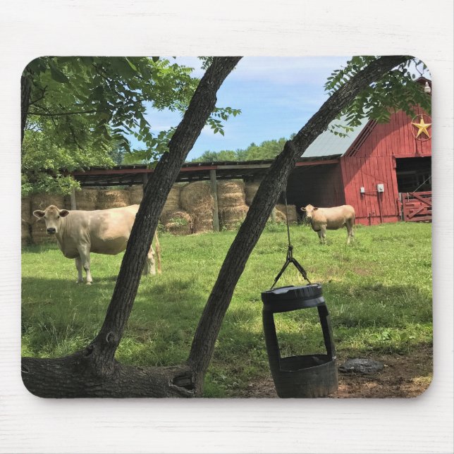 Mousepad Barn & Cows, Rural North Carolina Canvas Print (Frente)