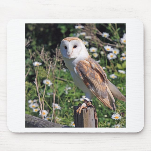 Mousepad Barn Owl (Frente)