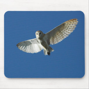 Mousepad Barn Owl no Voo do Dia