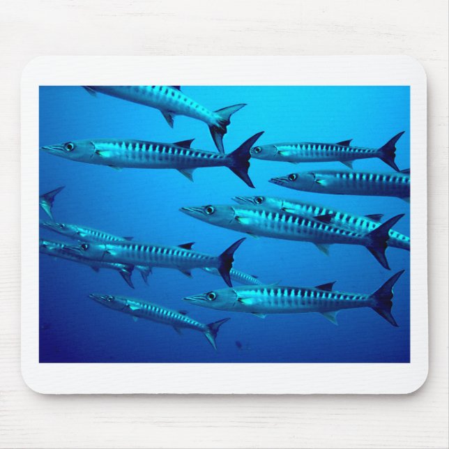 Mousepad barracuda mergulho mar profundo água oceano tropic (Frente)