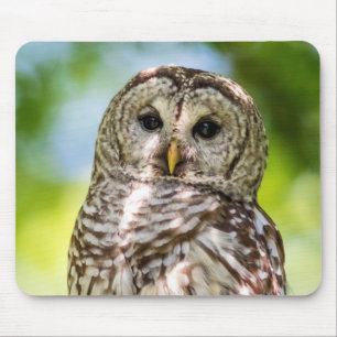 Mousepad Barred Owl