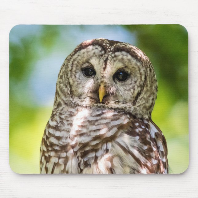 Mousepad Barred Owl (Frente)