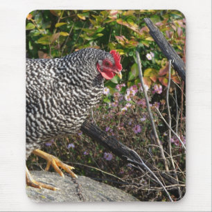 Mousepad Barred Rock Hen
