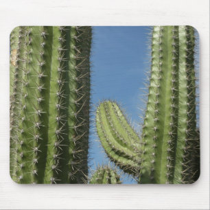 Mousepad Barrel Cactus I Desert Photo