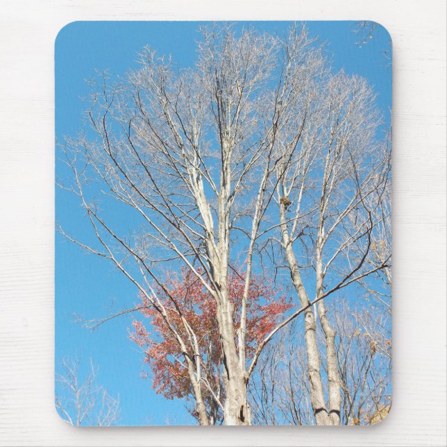 Mousepad Barren Trees (Frente)