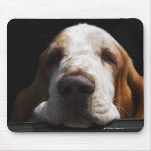 Mousepad Basset Hound que descansa sua cabeça