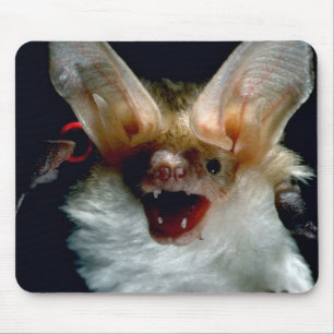 Mousepad Bastão