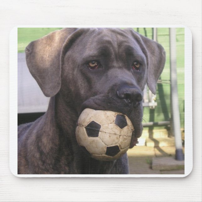 Mousepad bastão corso.png (Frente)