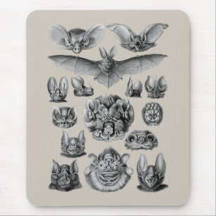 Mousepad Bastões