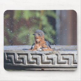 Mousepad Bathing Bluebird