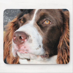 Mousepad Baxter - Spaniel de Springer inglês Photo-06