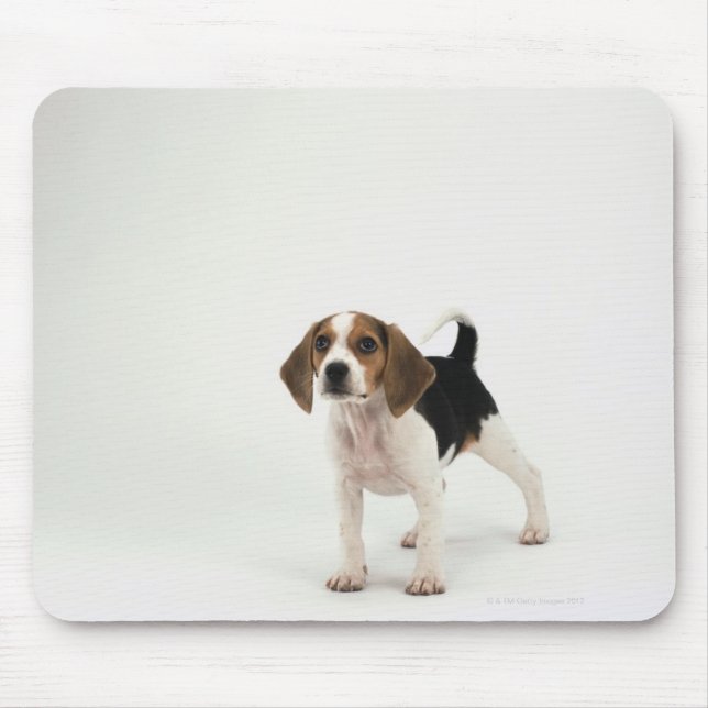 Mousepad Beagle (Frente)