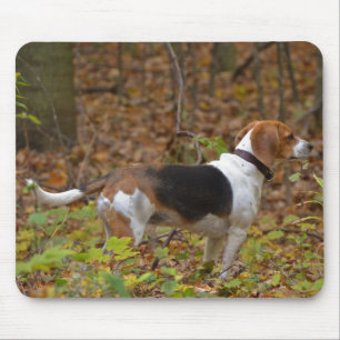 Mousepad Beagle em Woods