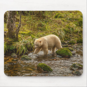 Mousepad Bear Espírito Branco Caça peixes em Riordan Creek