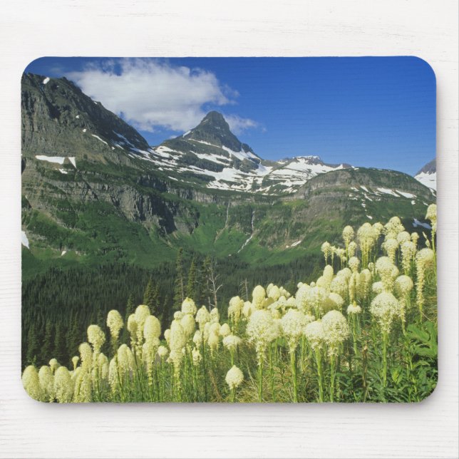 Mousepad Bearcapi perto do Logan Pass na Gacier National (Frente)