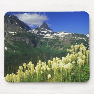Mousepad Beargrass no Logan Pass no Parque Nacional Glacier