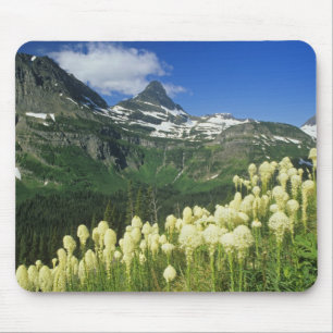 Mousepad Beargrass perto de Logan Pass no Parque Nacional G