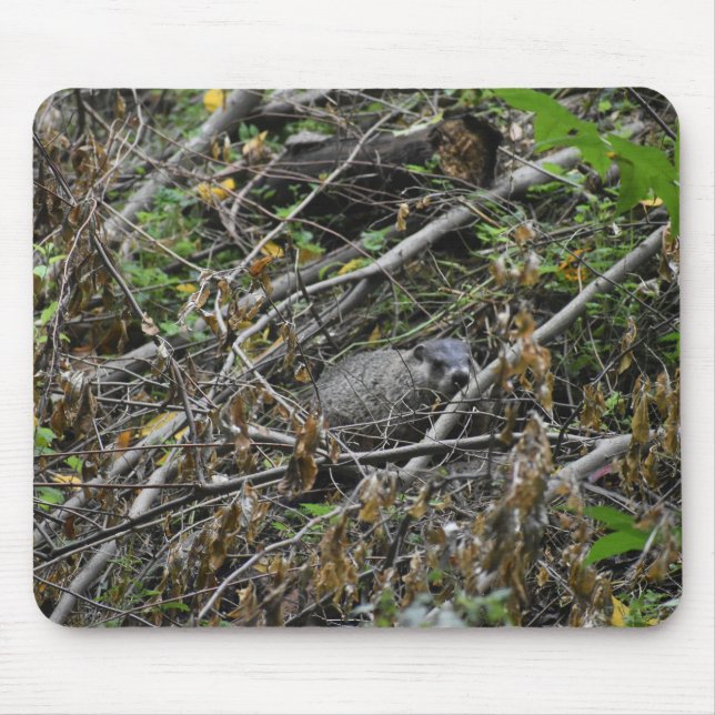 Mousepad Beaver Ocupado (Frente)